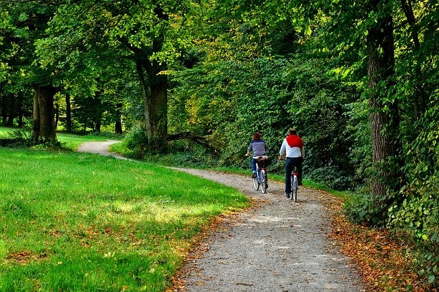 cyklisté u lesa